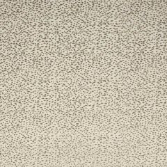 Clarke and Clarke Astral Stone F1564-7 Illusion Collection Indoor Upholstery Fabric