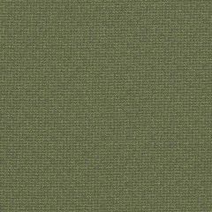 Clarke and Clarke Malone Moss F1569-5 Clarke and Clarke Burlington Collection Indoor Upholstery Fabric