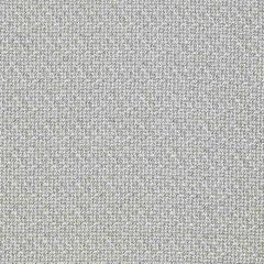 Clarke and Clarke Malone Silver F1569-6 Clarke and Clarke Burlington Collection Indoor Upholstery Fabric