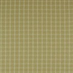 Clarke and Clarke Thornton Olive F1571-5 Clarke and Clarke Burlington Collection Indoor Upholstery Fabric