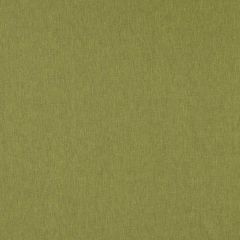 Clarke and Clarke Orla Olive 157216 Orla By Studio G For CandC Collection Indoor Upholstery Fabric