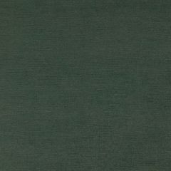 Clarke and Clarke Riva Glade 158312 Riva Collection Indoor Upholstery Fabric