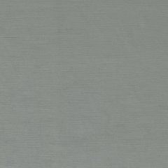 Clarke and Clarke Riva Silver 158322 Riva Collection Indoor Upholstery Fabric