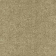 Clarke and Clarke Dawson Gold 159806 Dawson Collection Indoor Upholstery Fabric