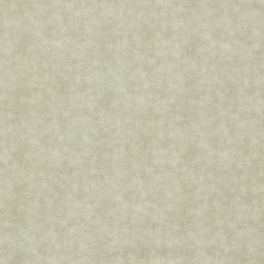 Clarke and Clarke Dawson Natural 159810 Dawson Collection Indoor Upholstery Fabric