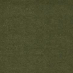 Clarke and Clarke Dawson Olive 159812 Dawson Collection Indoor Upholstery Fabric