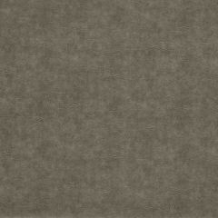Clarke and Clarke Dawson Pewter 159814 Dawson Collection Indoor Upholstery Fabric