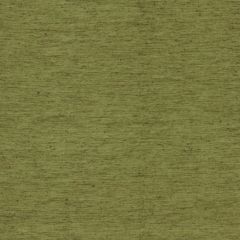 Clarke and Clarke Ravello Olive 1608-15 By Studio G For C&C Collection Drapery Fabric