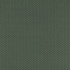 Clarke and Clarke Equator Forest 1618-01 Equinox 2 Collection Indoor Upholstery Fabric
