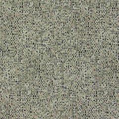 Clarke and Clarke Orion Noir 1619-04 Equinox 2 Collection Indoor Upholstery Fabric