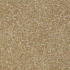 Clarke and Clarke Orion Spice 1619-05 Equinox 2 Collection Indoor Upholstery Fabric