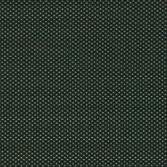 Clarke and Clarke Pavo Forest 1620-02 Equinox 2 Collection Indoor Upholstery Fabric