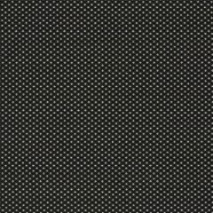 Clarke and Clarke Pavo Noir 1620-06 Equinox 2 Collection Indoor Upholstery Fabric