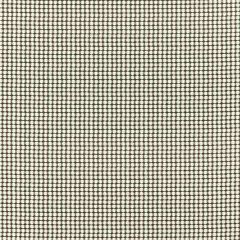 Clarke and Clarke Olympia Charcoal 1638-02 Formations By Studio G For C&C Collection Multipurpose Fabric