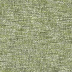 Clarke and Clarke Cetara Citrus F1642-04 Collection Indoor Upholstery Fabric