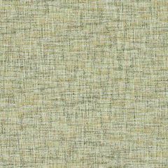 Clarke and Clarke Cetara Spring F1642-17 Collection Indoor Upholstery Fabric