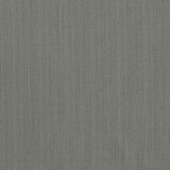 Clarke and Clarke Remo Charcoal F1665-02 Levanto Collection Drapery Fabric