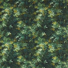 Clarke and Clarke Congo Outdoor F1666-01 Alfresco Collection Upholstery Fabric