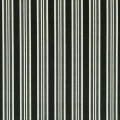 Clarke and Clarke Wilmott Ebony F1691-03 Whitworth Collection Indoor Upholstery Fabric
