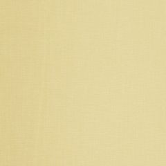 Robert Allen Subtle Mood Amber 235844 Drapeable Linen Looks Collection Multipurpose Fabric