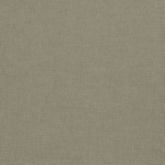 Clarke and Clarke Paradiso Ash F1707-01 Multipurpose Fabric