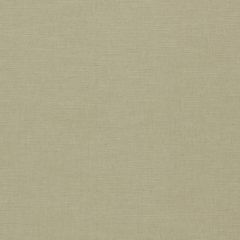 Clarke and Clarke Paradiso Oatmeal F1707-18 Collection Indoor Upholstery Fabric