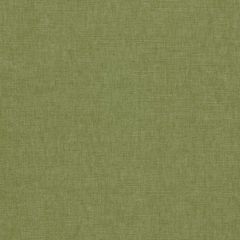 Clarke and Clarke Paradiso Palm F1707-20 Collection Indoor Upholstery Fabric
