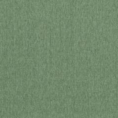 Clarke and Clarke Paradiso Sage F1707-22 Multipurpose Fabric