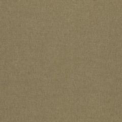 Clarke and Clarke Paradiso Sesame F1707-24 Multipurpose Fabric