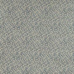 Clarke and Clarke Pokot Denim F1714-02 Breegan Jane Collection Indoor Upholstery Fabric