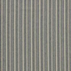 Clarke and Clarke Ponto Denim F1722-03 Evora Collection Indoor Upholstery Fabric