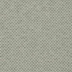 Clarke and Clarke Tecido Charcoal F1723-01 Evora Collection Indoor Upholstery Fabric