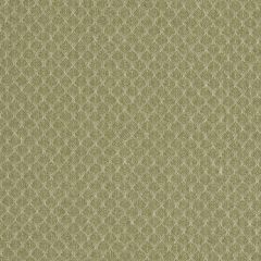 Clarke and Clarke Trelica Olive F1724-04 Evora Collection Indoor Upholstery Fabric