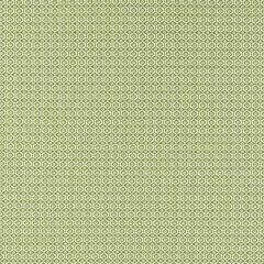 Clarke and Clarke Giverny Sage F1735-05 Secret Garden Collection Multipurpose Fabric