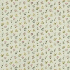 Clarke and Clarke Leiden Blush Sage F1736-02 Secret Garden Collection Multipurpose Fabric