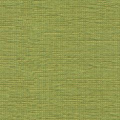 Kravet Contract Cato Grass 32931-3 Indoor Upholstery Fabric