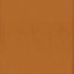 Stout Elbert Cashew 8 Leather Looks III Performance Collection Indoor Upholstery Fabric