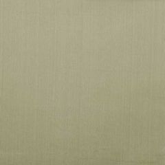 Duralee Celadon 32653-24 Decor Fabric