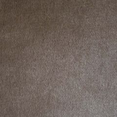 Old World Weavers Inuit Mohair Vison F1 00195602 Essential Velvets Collection Indoor Upholstery Fabric