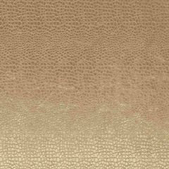 Clarke and Clarke Pulse Antique F0469-01 Tempo Collection Upholstery Fabric