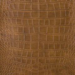 Kravet Design Brown Ankora 616 Indoor Upholstery Fabric