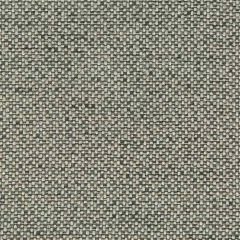 Kravet Design 34976-21 Crypton Home Indoor Upholstery Fabric