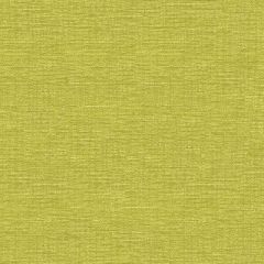 Kravet Contract Beacon Lime 34182-3 Crypton Incase Collection Indoor Upholstery Fabric