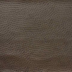 Kravet Design Grey Delaney 2121 Indoor Upholstery Fabric