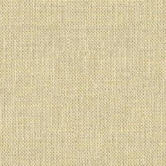 Kravet Couture do the Hustle Platinum 33443-411 Modern Luxe Collection Indoor Upholstery Fabric
