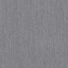 Perennials Canvas Weave Platinum 600-207 More Amore Collection Upholstery Fabric