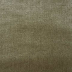 F Schumacher Venetian Silk Velvet Lichen 70439 Perfect Basics: Venetian Silk Velvet Collection Indoor Upholstery Fabric