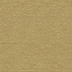 Kravet Smart Beige 32980-16 Indoor Upholstery Fabric