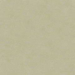 Kravet Pietra Grey 11 Ultraleather Plus IV Collection Indoor Upholstery Fabric