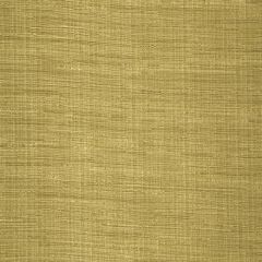 Robert Allen Nyanko Gold 243379 Drapeable Tonal Textures Collection Multipurpose Fabric